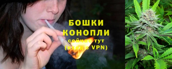 твердый Сатка