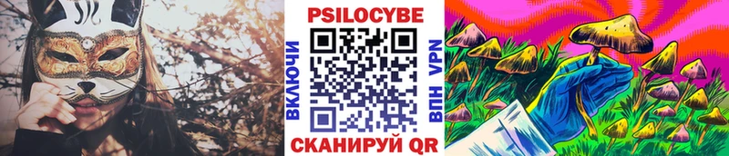 blacksprut ссылки  где купить наркоту  Петрозаводск  Псилоцибиновые грибы ЛСД 